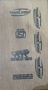 Commercial Plywood