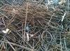 Low Price Ferrous Scrap