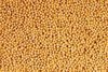 Natural Yellow Mustard Seed