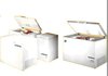 Top Quality Efficient Freezers