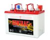 Tubular Small Automotive Batteries