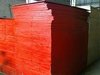 Rectangular Shaped Shuttering Plywood