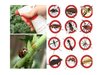 Manual Agricultural Pesticide Sprayer