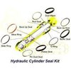 Hydraulic Cylinder Seal Kit