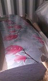 Colour Coated Plain Sheets