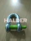 D Shackle