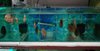 Best Design Fish Aquarium Tanks