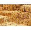 Superior Grade Rice Straw