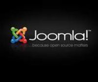 Joomla Developer Customization Service