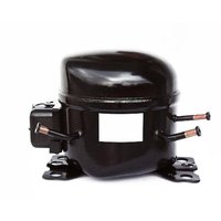 Rust Proof Fridge Compressor