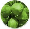 High Grade Coco Peat (cp-5a)