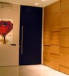 High Quality Flush Door