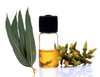 High Grade Eucalyptus Oil
