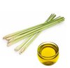 Java Quality Citronella Oil