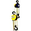 Indef Chain Pulley Block