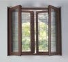 Aluminium Openable Windows with Wiremesh