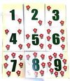 No Traping Card Promotional Magic Toy