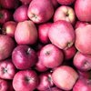 Fresh Granny Smith Apple