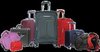 Fine Sheen Luggage Bags