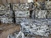 Aluminum 6063 Scrap