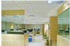 Mineral Fiber Ceiling Service