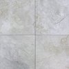 Exclusive Polished Ceramic Tiles