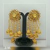 Beautiful Trendy Earring