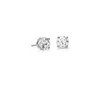 Ear Studs