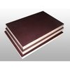 Satin Matte Shuttering Plywood