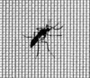 Stainless Steel Mosquito Wire Mesh