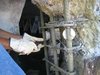 Superior Finish Zinc Concrete Anodes