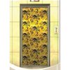 Designer Elevator Door