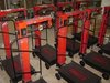 Mechanical Platform Scale Loose Weight Type