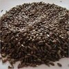 Superior Grade Flax Seeds