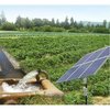 Agriculture Solar Water Pump (2 HP)