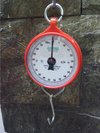 High Performance Mechanical Hanging Scale
