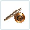 Precise Design Worm Gears