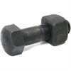 Track Shoe Nut Bolt