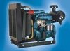 Efficient Kirloskar Diesel Engines