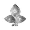 Silver Color Decorative Leaves