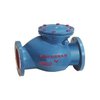 Ductile Non Return Valve
