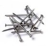 2 Inch Iron Wire Nails