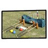 Professional Croquet
