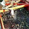 Organic Pesticides Powder