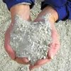 Calcium Bentonite Powder