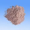 Barley Seed