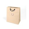 Shopping Paper Carry Bag