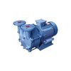 Liquid Ring Vacuum Pump