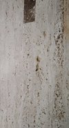 Rainforest Brown Color Marble