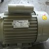 Electric Induction Motors